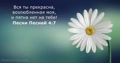 Классный час \"Красота души человека\"