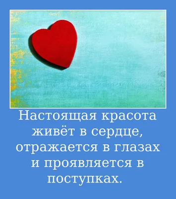 12 Библейские стихи о красоте - DailyVerses.net