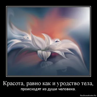Презентация на тему \"Красота души человека\" (по рассказу М.Шолохова \"Судьба  человека\")
