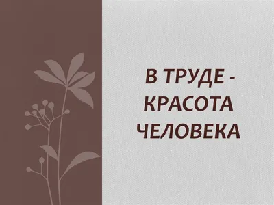 Историческое развитие понимания телесной красоты – тема научной статьи по  искусствоведению читайте бесплатно текст научно-исследовательской работы в  электронной библиотеке КиберЛенинка