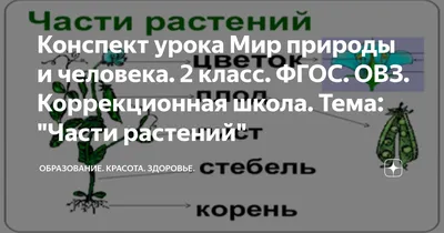 Презентация на тему: \"«Красота – это здоровье. Здоровье - это красота». « В  человеке всё должно быть прекрасно: и лицо, и одежда, и душа, и мысли ».  А.П.Чехов.\". Скачать бесплатно и без регистрации.