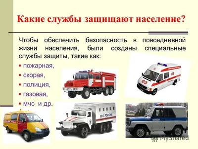 Презентация на тему: \"Кто нас защищает? Проект по окружающему миру.\".  Скачать бесплатно и без регистрации.