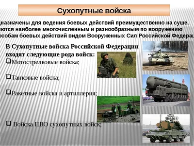 Кто нас защищает» — проект по Окружающему миру для школьников: аргументы,  помощь