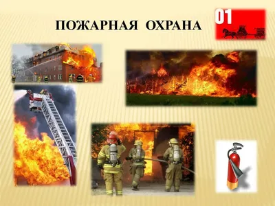 Презентация на тему: \"КТО НАС ЗАЩИЩАЕТ?\"