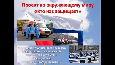Кто нас защищает» — проект по Окружающему миру для школьников: аргументы,  помощь