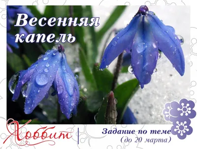 Экспозиция рисунков \"Весенняя капель\" | Образование голышмановского района