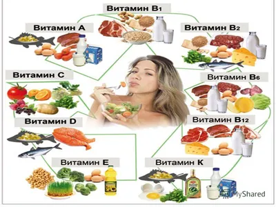 Витамины Минералы — стоковая векторная графика и другие изображения на тему  Буква K - Буква K, Витамин, Пищевая добавка - Здравоохранение и медицина -  iStock