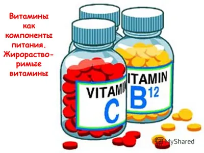 Витамины Группы Здоровая Пища — стоковая векторная графика и другие  изображения на тему Без людей - Без людей, Бессмысленный рисунок, Биология  - iStock