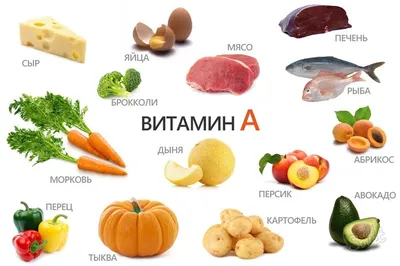 более здоровая пища. овощи и фрукты зеленые листья. плакат на тему  правильного питания. питание растений и витамины. Иллюстрация штока -  иллюстрации насчитывающей плоско, концепция: 245602134