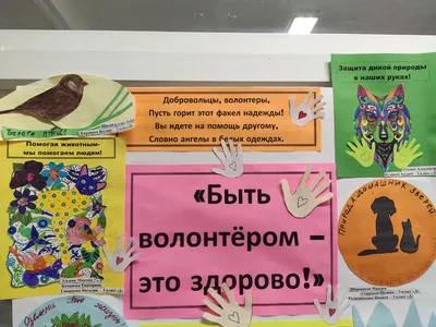 Подборка статей раздела «Блог» на тему «Волонтерский фандрайзинг» —  благотворительный фонд «Нужна Помощь».