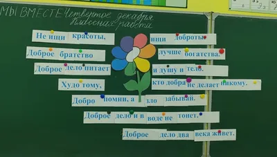 МОЯ ВОЛОНТЕРСКАЯ ИСТОРИЯ Мы объявляем конкурс на тему \"Моя волонтерская  история\"🦊 Все очень просто:.. | ВКонтакте