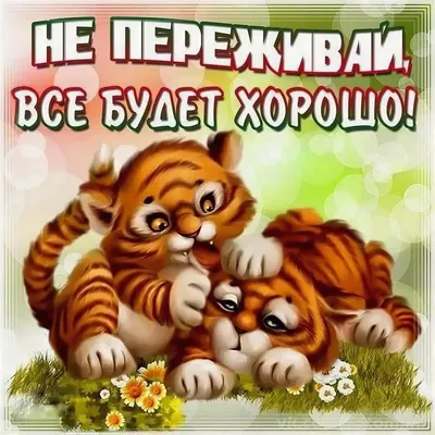 Картинки на тему #проверкаправилшедеврума - в Шедевруме