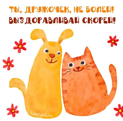 Идеи на тему «Выздоравливай скорее» (8) | смешные открытки, открытки, милые  открытки