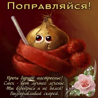 Идеи на тему «Выздоравливай» (9) | скорейшего выздоровления, открытки,  картинки