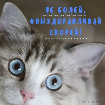 Открытка выздоравливай скорей - 83 фото