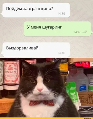 Выздоравливай! - скачайте на Davno.ru