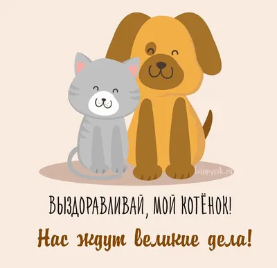 https://www.tiktok.com/discover/%D0%B2%D0%B8%D0%B4%D0%B5%D0%BE-%D0%BF%D0%BE%D0%B6%D0%B5%D0%BB%D0%B0%D0%BD%D0%B8%D1%8F-%D0%B2%D1%8B%D0%B7%D0%B4%D0%BE%D1%80%D0%BE%D0%B2%D0%BB%D0%B5%D0%BD%D0%B8%D1%8F
