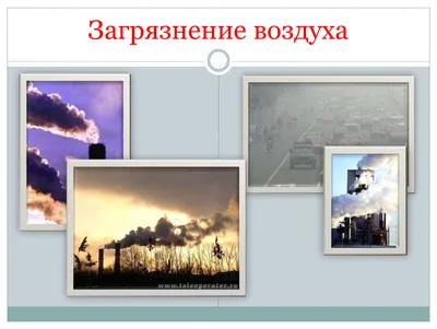 Как загрязнение воздуха разрушает наше здоровье