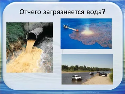 Химическое загрязнение окружающей среды и его последствия - презентация  онлайн