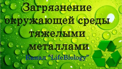 Загрязнение окружающей среды реферат по экологии | Сочинения Экология и  охрана окружающей среды | Docsity