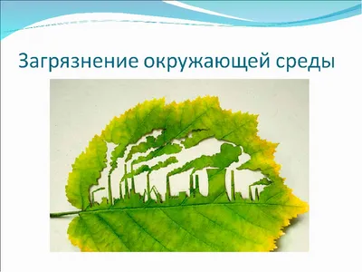 Плакаты Правила загрязнения окружающей среды: огромный выбор, отличное  качество, доставка по СНГ. учебные плакаты от \"Рекламная компания  «InService»\": +7 (707) 505-53-19 Зам.директора Руфия Рафаиловна