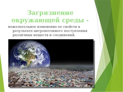 За загрязнение природы разрешат расторгнуть договор аренды морского порта -  Экология производства | Новости экологии