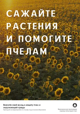 321 Всемирный день леса Экологический плакат Дерево защиты окружающей среды  рисунок Шаблон для скачивания на Pngtree