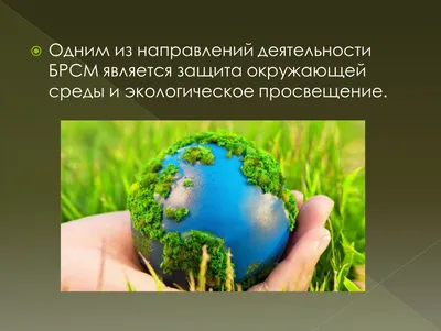 Фото-коллажи \"Охрана окружающей среды\"