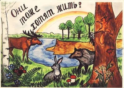 Экологический проект для детей 5–7 лет «Юные защитники природы» (9 фото).  Воспитателям детских садов, школьным учителям и педагогам - Маам.ру