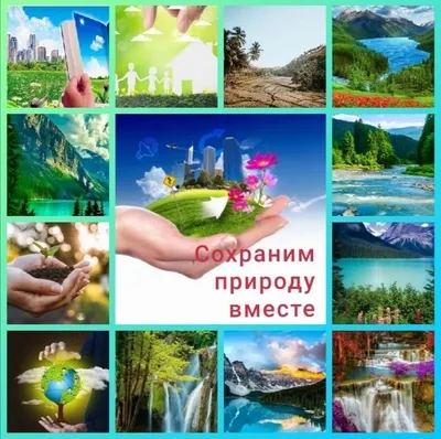 Охрана природы — Википедия