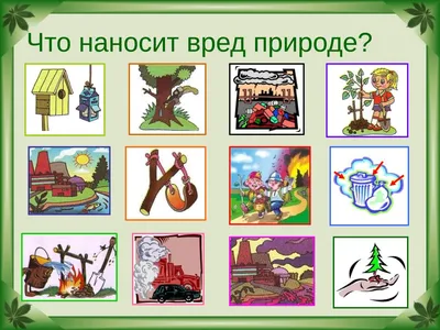 Охрана природы