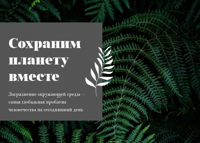 Охрана природы. Презентация для детей. Окружающий мир. - YouTube