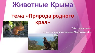 Эмблемка для общества защиты животных - Demiart