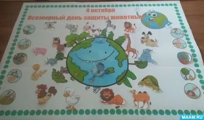 Мастер-класс по рисованию цветными карандашами «Пушистые животные» к  Всемирному Дню защиты бездомных животных (14 фото). Воспитателям детских  садов, школьным учителям и педагогам - Маам.ру