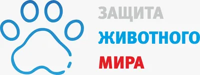 Конкурсы для детей и педагогов ОЦ Путь знаний