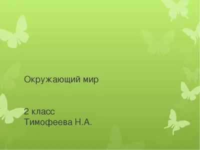 20 шт в китайском стиле все новые темы нации защита животных Почтовые марки  Коллекция | AliExpress