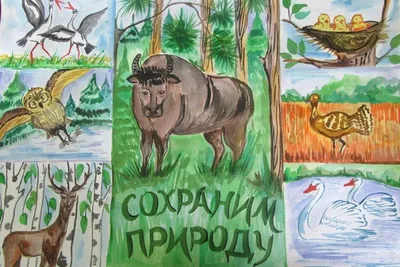 Поделки защита животных из пластилина: идеи по изготовлению своими руками  (44 фото) » рисунки для срисовки на Газ-квас.ком