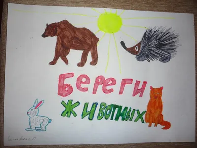 Социальные плакаты на тему защиты животных (50 фото) » Рисунки для срисовки  и не только