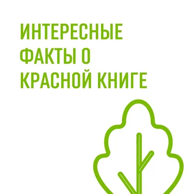 Мир пернатых и зверей ждет поддержки от друзей