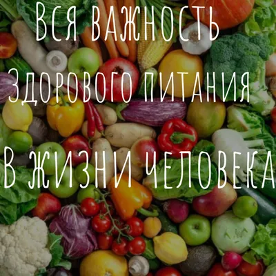 Здоровое питание: основы, правила и сбалансированные программы