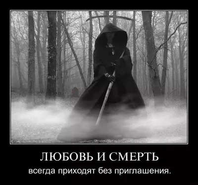 Есть жизнь после смерти – учёные подтвердили | МЯТА.online | Дзен