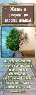 Утка, смерть и тюльпан - купить книгу в интернет-магазине Самокат