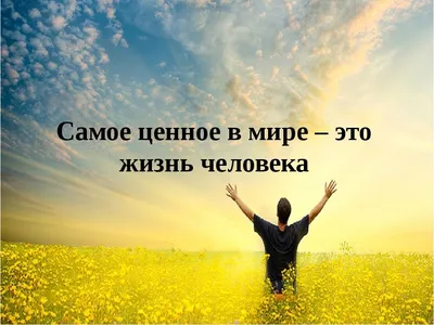 Существует ли жизнь после смерти? Новое научное открытие! — Офтоп на vc.ru
