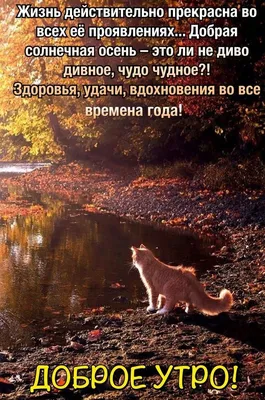 Классный час в начальной школе на тему \"Жизнь прекрасна\"