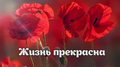Прошли профилактические мероприятия на тему «Жизнь прекрасна» -  Электротехнический колледж