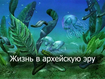 Презентация на тему Жизнь в архейскую эру