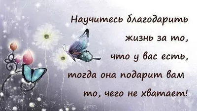 Картинки на тему #жизнь - в Шедевруме