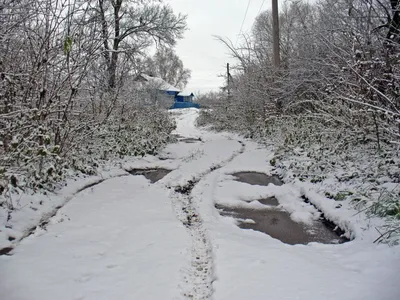 Зима пришла!
