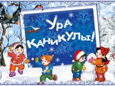 Когда зимние каникулы в школах 2023 – 2024 – когда ученики на Полтавщине  идут отдыхать - Учеба