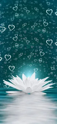 Naw on X: \"@fermendkis Wallpaper whatsapp, sih https://t.co/fsJJxSVGmV\" / X